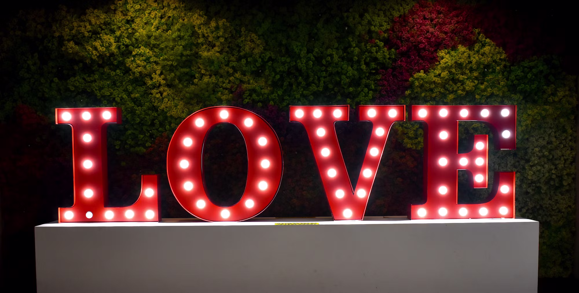 Creative Romance: Unleashing the Power of Imagination in Love